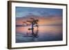 Alone at Sunrise-Moises Levy-Framed Photographic Print