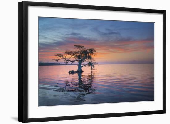 Alone at Sunrise-Moises Levy-Framed Photographic Print