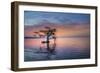 Alone at Sunrise-Moises Levy-Framed Photographic Print