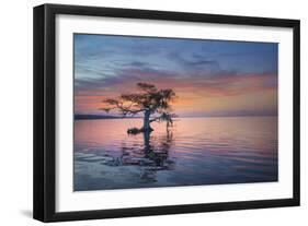 Alone at Sunrise-Moises Levy-Framed Photographic Print