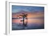 Alone at Sunrise-Moises Levy-Framed Photographic Print