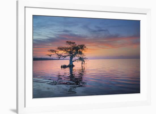 Alone at Sunrise-Moises Levy-Framed Photographic Print