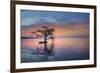 Alone at Sunrise-Moises Levy-Framed Photographic Print