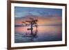 Alone at Sunrise-Moises Levy-Framed Photographic Print