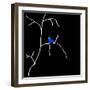 Alone But Never Lonely Black-Ruth Palmer-Framed Art Print