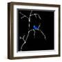 Alone But Never Lonely Black-Ruth Palmer-Framed Art Print