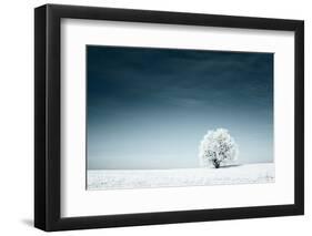 Alone Frozen Tree in Snowy Field and Dark Blue Sky-Dudarev Mikhail-Framed Photographic Print