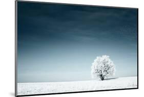 Alone Frozen Tree in Snowy Field and Dark Blue Sky-Dudarev Mikhail-Mounted Photographic Print