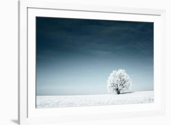 Alone Frozen Tree in Snowy Field and Dark Blue Sky-Dudarev Mikhail-Framed Photographic Print