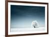 Alone Frozen Tree in Snowy Field and Dark Blue Sky-Dudarev Mikhail-Framed Photographic Print