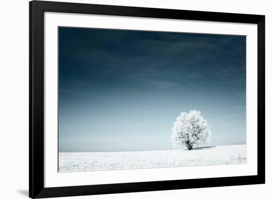 Alone Frozen Tree in Snowy Field and Dark Blue Sky-Dudarev Mikhail-Framed Photographic Print