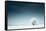 Alone Frozen Tree in Snowy Field and Dark Blue Sky-Dudarev Mikhail-Framed Stretched Canvas