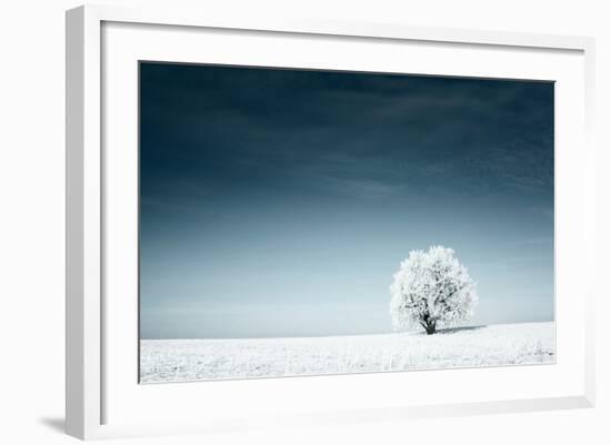 Alone Frozen Tree in Snowy Field and Dark Blue Sky-Dudarev Mikhail-Framed Photographic Print