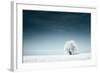 Alone Frozen Tree in Snowy Field and Dark Blue Sky-Dudarev Mikhail-Framed Photographic Print