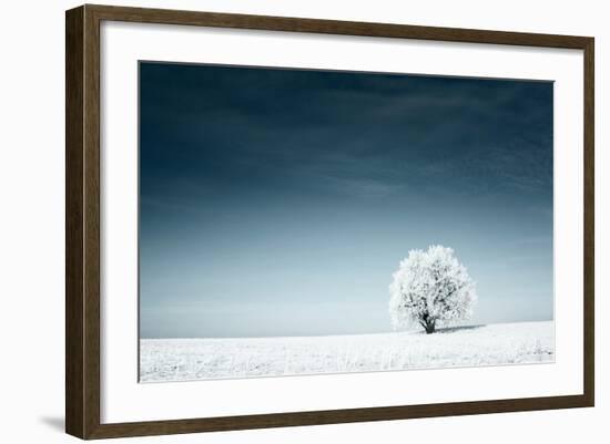 Alone Frozen Tree in Snowy Field and Dark Blue Sky-Dudarev Mikhail-Framed Photographic Print