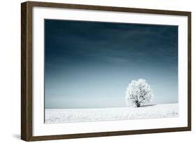 Alone Frozen Tree in Snowy Field and Dark Blue Sky-Dudarev Mikhail-Framed Photographic Print