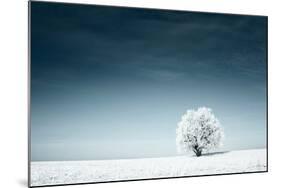 Alone Frozen Tree in Snowy Field and Dark Blue Sky-Dudarev Mikhail-Mounted Photographic Print