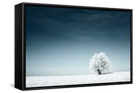 Alone Frozen Tree in Snowy Field and Dark Blue Sky-Dudarev Mikhail-Framed Stretched Canvas