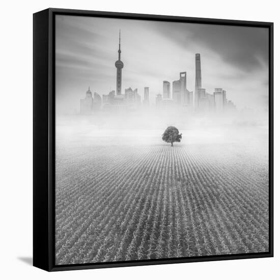 Alone in Shanghai-Moises Levy-Framed Stretched Canvas