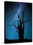 Alone in the Dark-Manu Allicot-Stretched Canvas