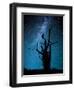 Alone in the Dark-Manu Allicot-Framed Photographic Print