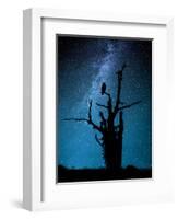 Alone in the Dark-Manu Allicot-Framed Photographic Print