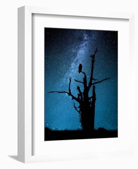 Alone in the Dark-Manu Allicot-Framed Photographic Print