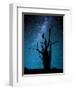 Alone in the Dark-Manu Allicot-Framed Photographic Print