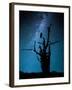 Alone in the Dark-Manu Allicot-Framed Photographic Print