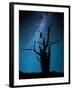 Alone in the Dark-Manu Allicot-Framed Photographic Print