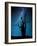 Alone in the Dark-Manu Allicot-Framed Photographic Print