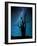 Alone in the Dark-Manu Allicot-Framed Photographic Print