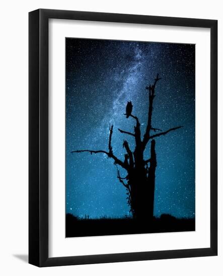 Alone in the Dark-Manu Allicot-Framed Photographic Print