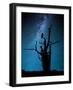 Alone in the Dark-Manu Allicot-Framed Photographic Print