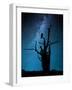 Alone in the Dark-Manu Allicot-Framed Photographic Print