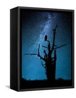 Alone in the Dark-Manu Allicot-Framed Stretched Canvas