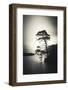 Alone in the Light-Philippe Saint-Laudy-Framed Photographic Print