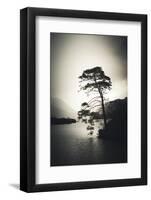 Alone in the Light-Philippe Saint-Laudy-Framed Photographic Print