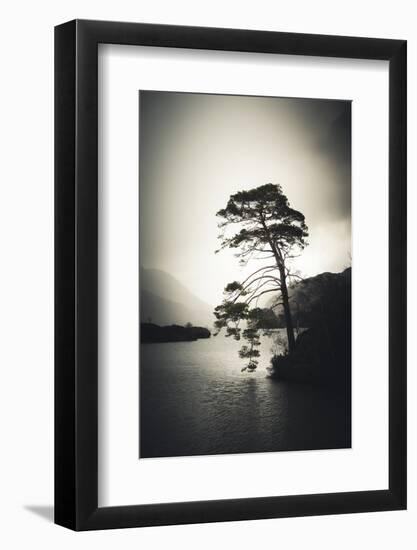 Alone in the Light-Philippe Saint-Laudy-Framed Photographic Print