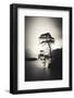 Alone in the Light-Philippe Saint-Laudy-Framed Photographic Print