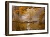 Alone in the Swamp-Norbert Maier-Framed Giclee Print