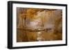 Alone in the Swamp-Norbert Maier-Framed Giclee Print