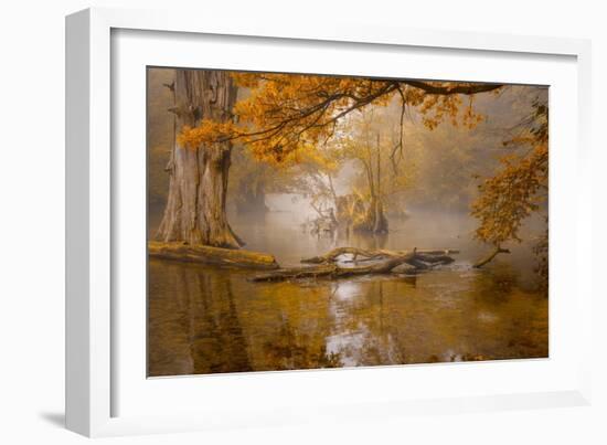 Alone in the Swamp-Norbert Maier-Framed Giclee Print