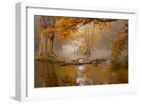 Alone in the Swamp-Norbert Maier-Framed Giclee Print