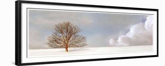 Alone in the Whiteness-Carlos Casamayor-Framed Giclee Print