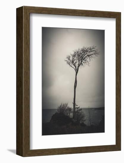 Alone in the Wind-Philippe Saint-Laudy-Framed Photographic Print