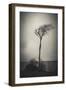 Alone in the Wind-Philippe Saint-Laudy-Framed Photographic Print