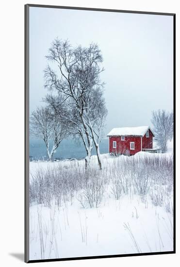 Alone in White-Philippe Sainte-Laudy-Mounted Photographic Print