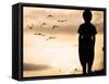 Alone Kid Standing on Field Looking far Away on Birds Flock-zurijeta-Framed Stretched Canvas