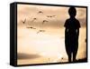 Alone Kid Standing on Field Looking far Away on Birds Flock-zurijeta-Framed Stretched Canvas